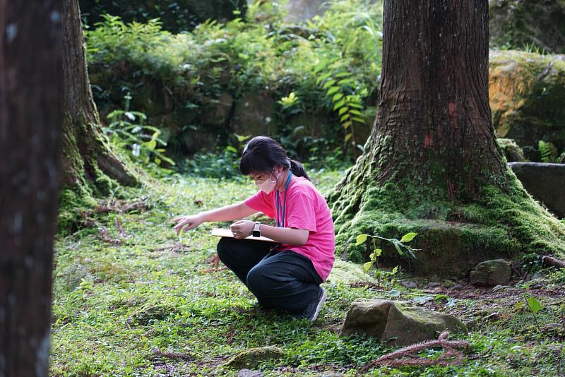 救國團2023暑期最森林系的營隊 溪頭「森林與動物の對話」探索營