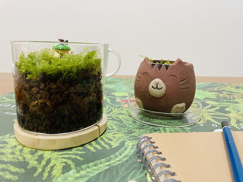 作品-苔蘚盆