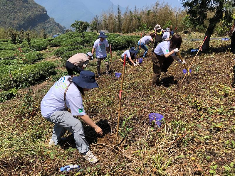 UNIQLO與GU的代表和田中部長一起栽植造林木