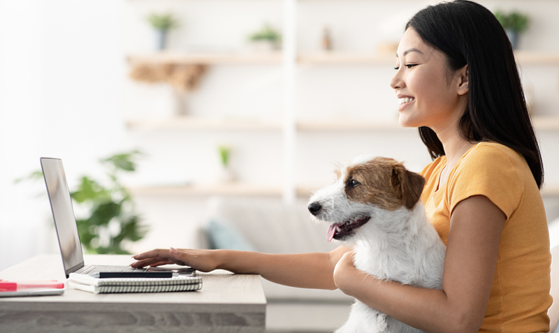 beBit TECH 公開四大關鍵寵物產業顧客經營場景