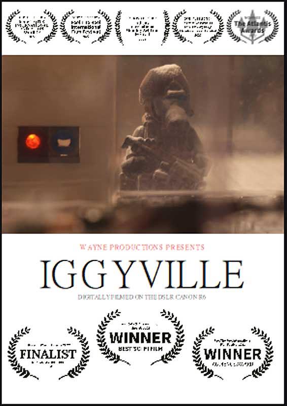 廣電系一年級學生動畫作品《Iggyville》已榮獲多項國際大獎。（世新大學提供）