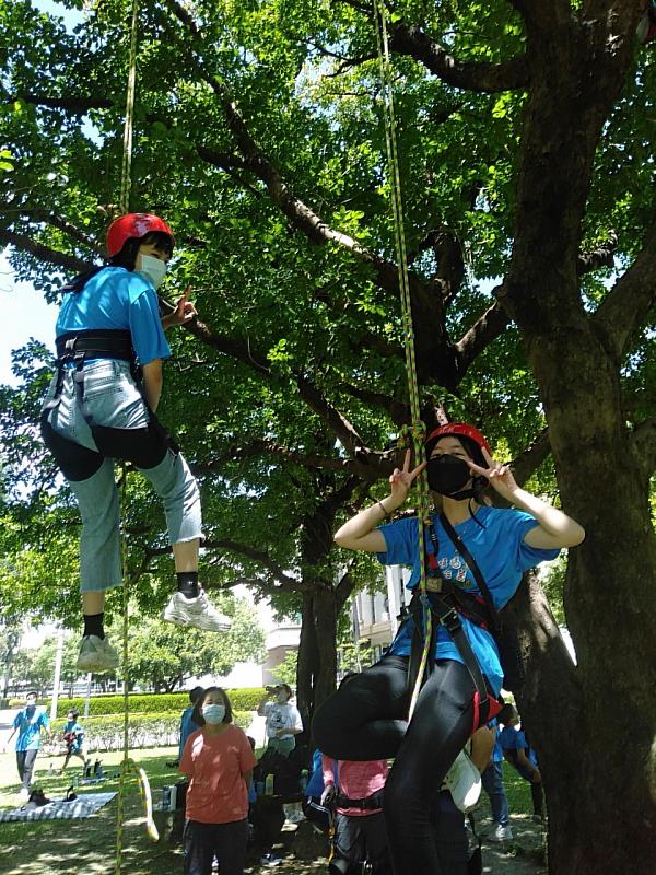 夏令營攀樹活動