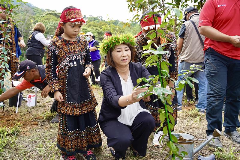 屏東在地特有植物武威山烏皮茶