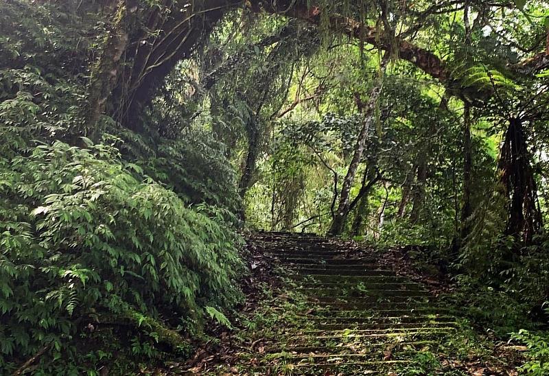 安通越嶺古道