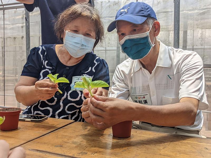 透過引導，林釗漢伯伯與太太開心的體驗種植香草植物、蔬菜摘採、手洗愛玉等活動。