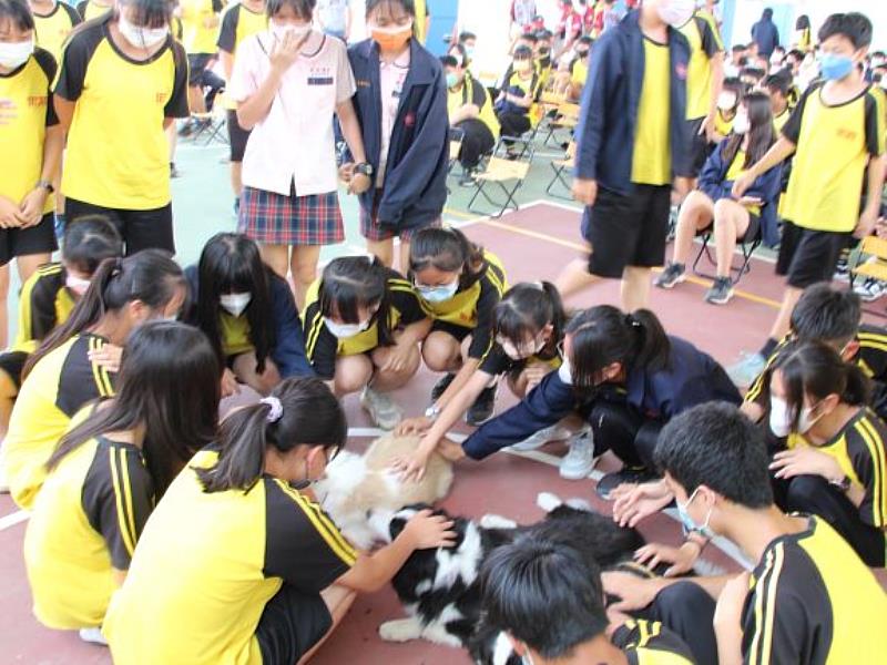 搜救犬展現親和力和開心的同學們互動