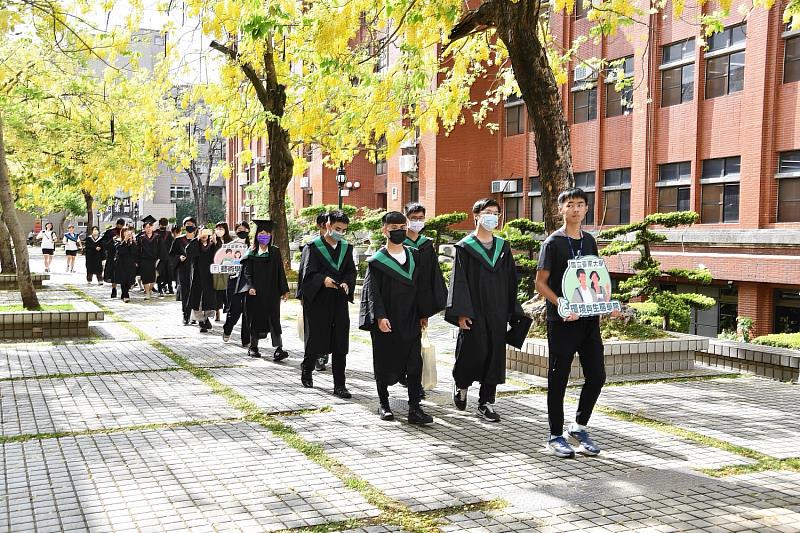 畢業生漫步阿勃勒盛開的美麗校園