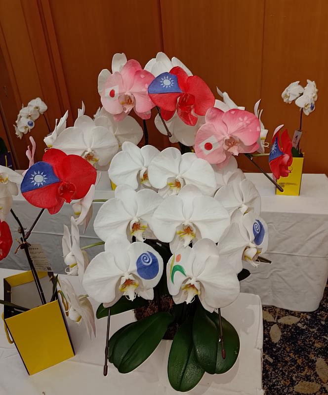 運用奈米噴染技術，在V3蝴蝶蘭上呈現臺灣與日本國旗圖樣，象徵臺日美麗的交流與深厚友誼