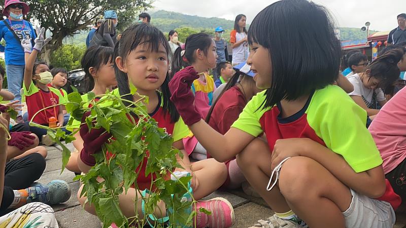 帶領永安國小學生認識小花蔓澤蘭