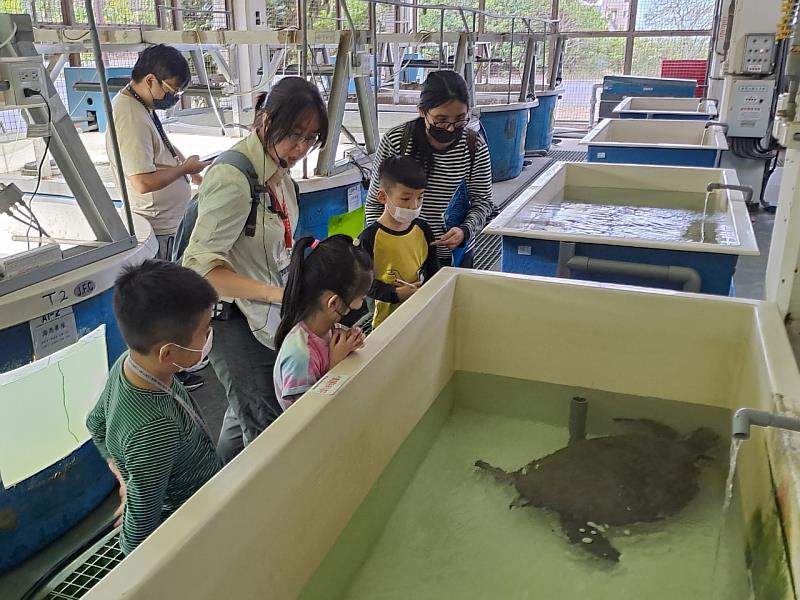 國立海洋生物博物館的私人秘境-海生館後館（海洋教育中心），是全台海龜唯一指定收容所。