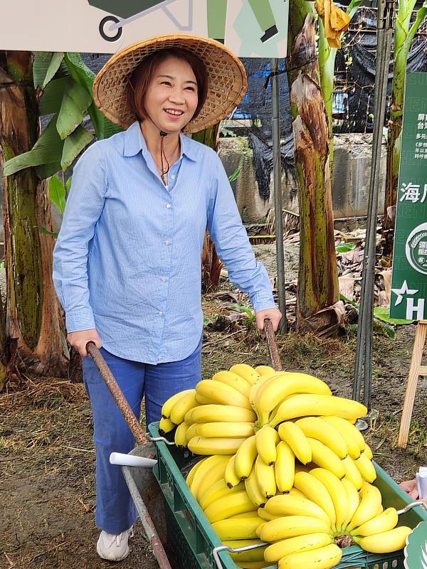 縣長周春米化身一日蕉農，以實際行動展現對青農的鼓勵