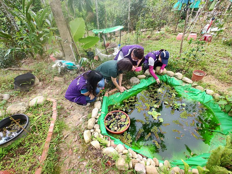 嚴防登革熱，雨後請落實「巡倒清刷」