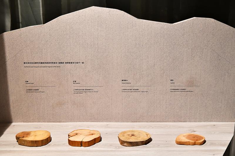 展場提供木料嗅聞、觸摸體驗，可以感受材料的紋理質感。