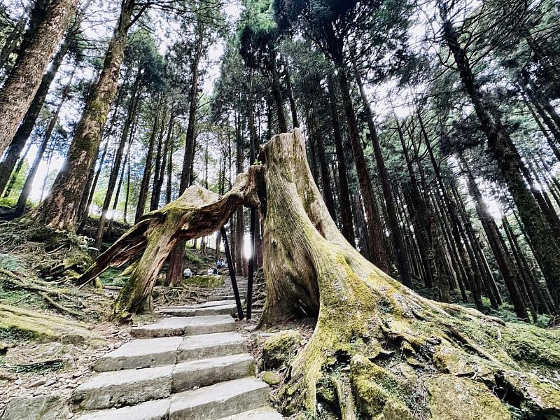 FUN粽玩嘉義，4天3夜玩遍山海平原