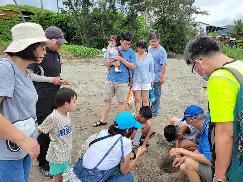 FUN端午親近海洋生態趣  大手牽小手體驗台東杉原灣潮間帶