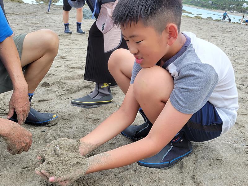 FUN端午親近海洋生態趣  大手牽小手體驗台東杉原灣潮間帶