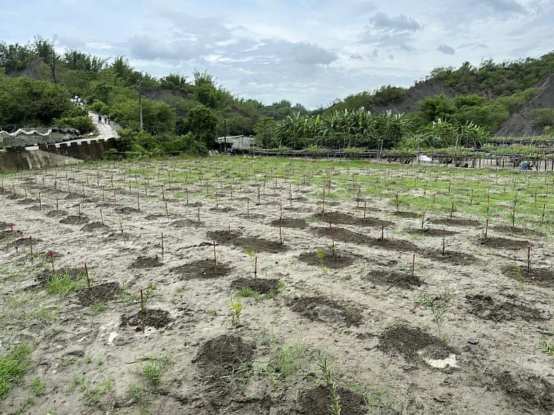 互助營造公司企業認養造林4