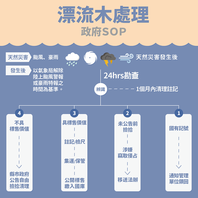 漂流木處理SOP