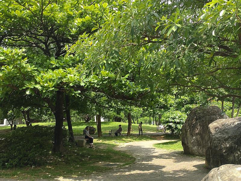 中和公園擁有茂密的喬木 供民眾休憩