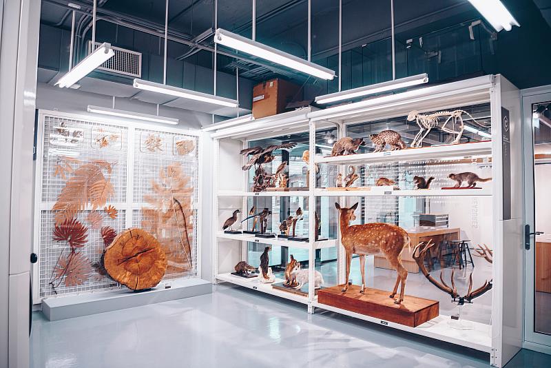 臺博館開放庫房提供博物館標本多元探索空間