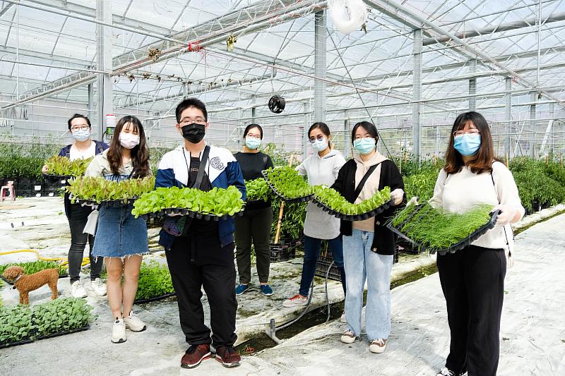 豐山社區農業療癒遊程大豐收。