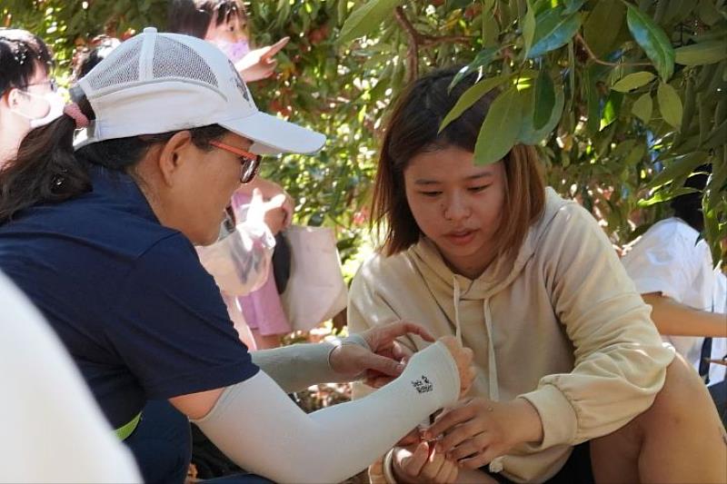 茄苳里里長古秀芬（左）向外籍生介紹茄苳社區糯米荔枝的特色。