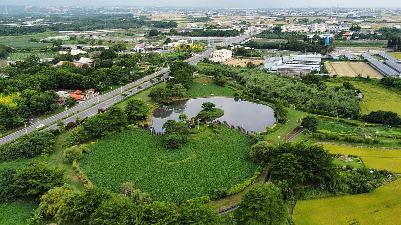 獨角仙繁殖季節到 明華溼地生態園區成觀賞秘境