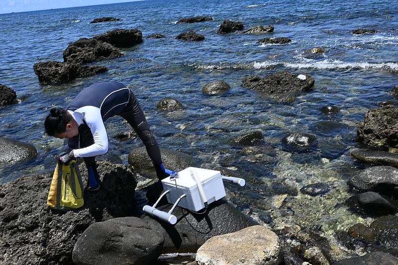 成功鎮藝術共創《日常，聲，形》聲音採集首場共創工作坊13、14日登場