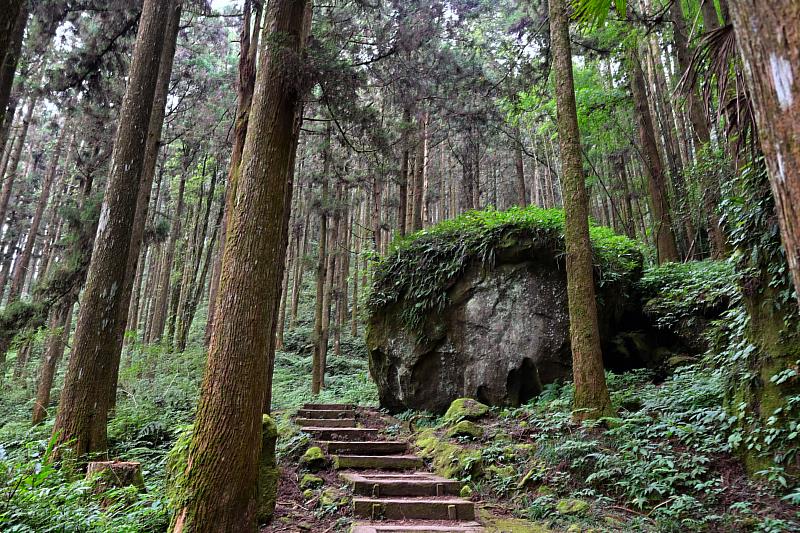 來嘉消暑 翁章梁推薦2大賞瀑景點及6條步道-大凍山步道