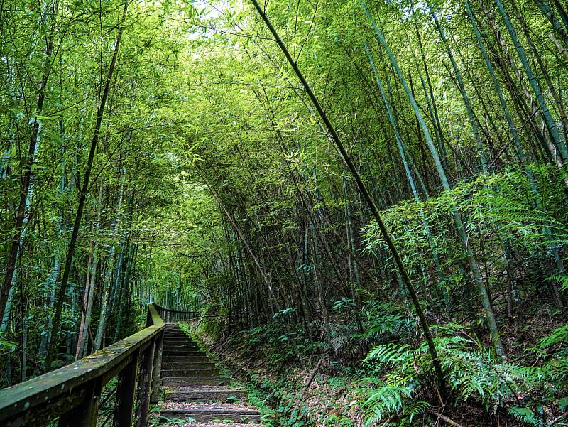 來嘉消暑 翁章梁推薦2大賞瀑景點及6條步道-孝子路步道