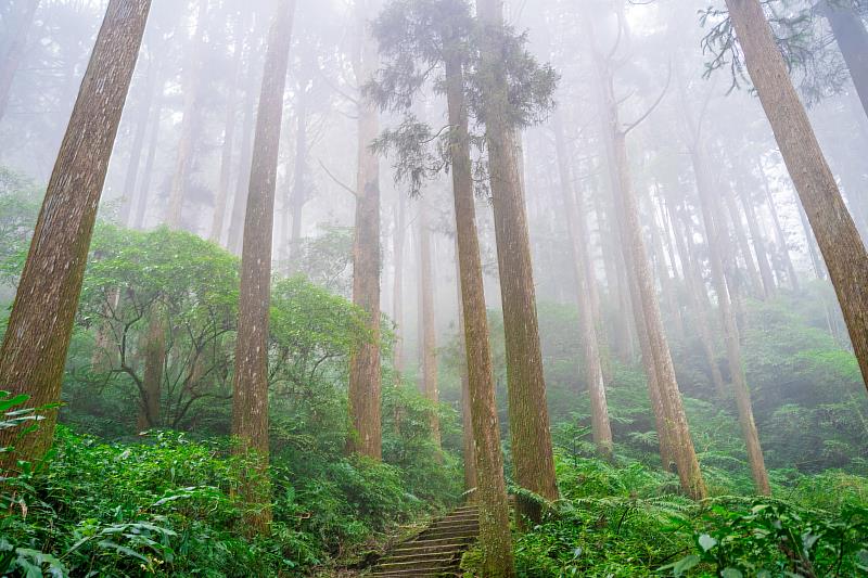 來嘉消暑 翁章梁推薦2大賞瀑景點及6條步道-石棹步道群-雲之道