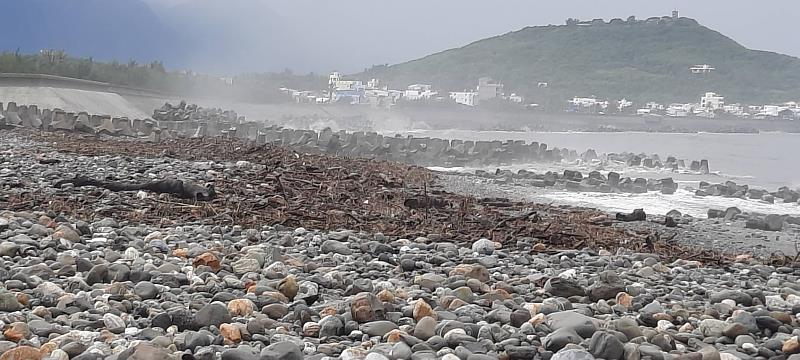 富岡南段（第2533保安林）沿岸現場照片