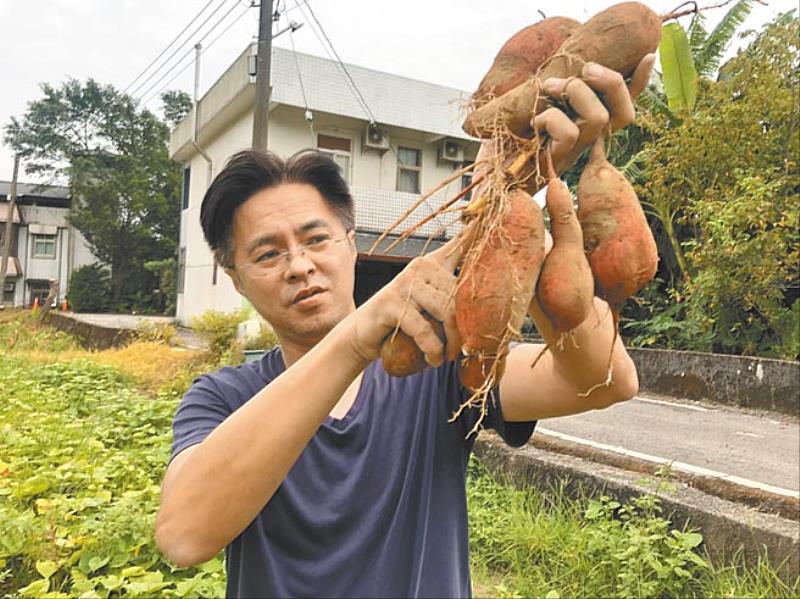 優秀在地青農-汪汪地瓜園的賴家華 打造一個屬於台灣囝仔的地瓜農園