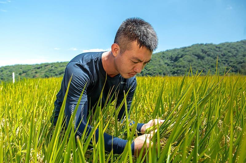 優秀在地青農-豪米好菜的蔡豪仲 用純淨水源灌溉出市集搶手日曬香米