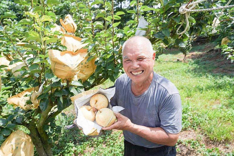 現年68歲的李全益14年前為照顧父親決定返鄉種植果樹，而正式開啟種植水梨的生活。