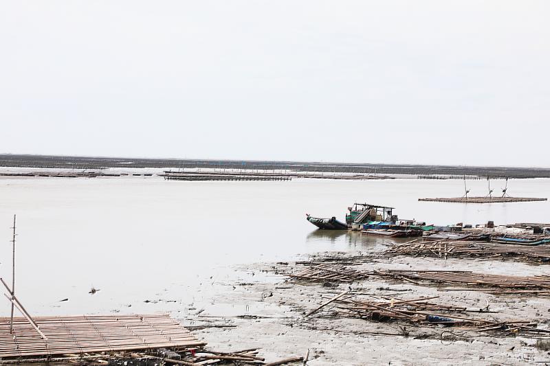 杜蘇芮颱風嘉義縣牡蠣養殖災損 即日起至12日止受理現金救助