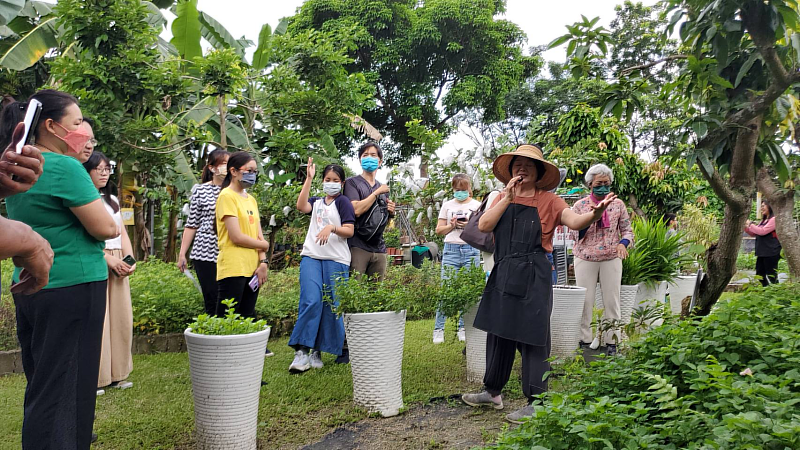 大自然就是寶庫 認識天然無毒野菜