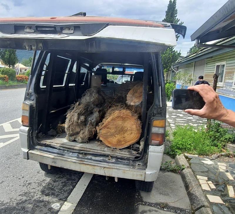 查獲裁切漂流木在車輛上