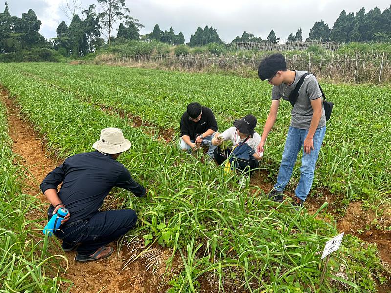 崑大師生參訪印尼全球農業股份有限公司經營之農場