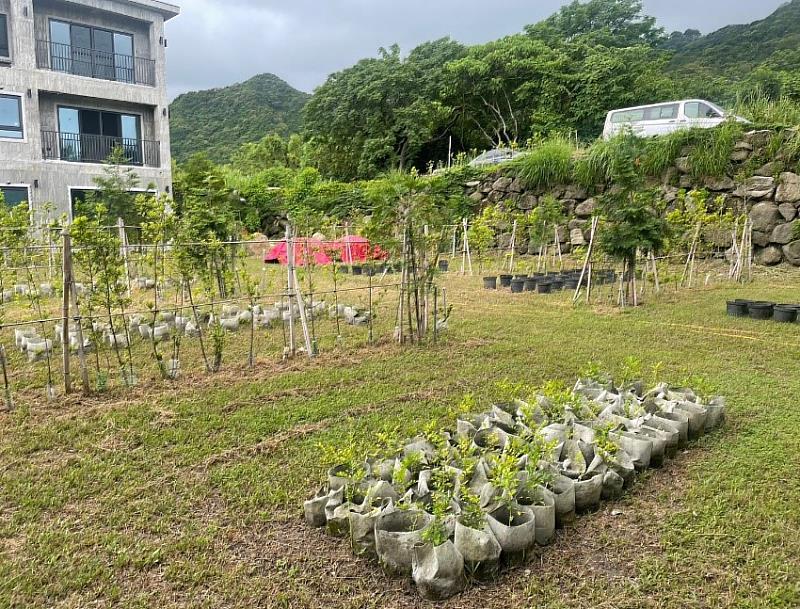 臺東縣府力推合法營運 饒慶鈴今赴現地親頒花東首件微型露營場取得土地許可 將持續輔導露營場