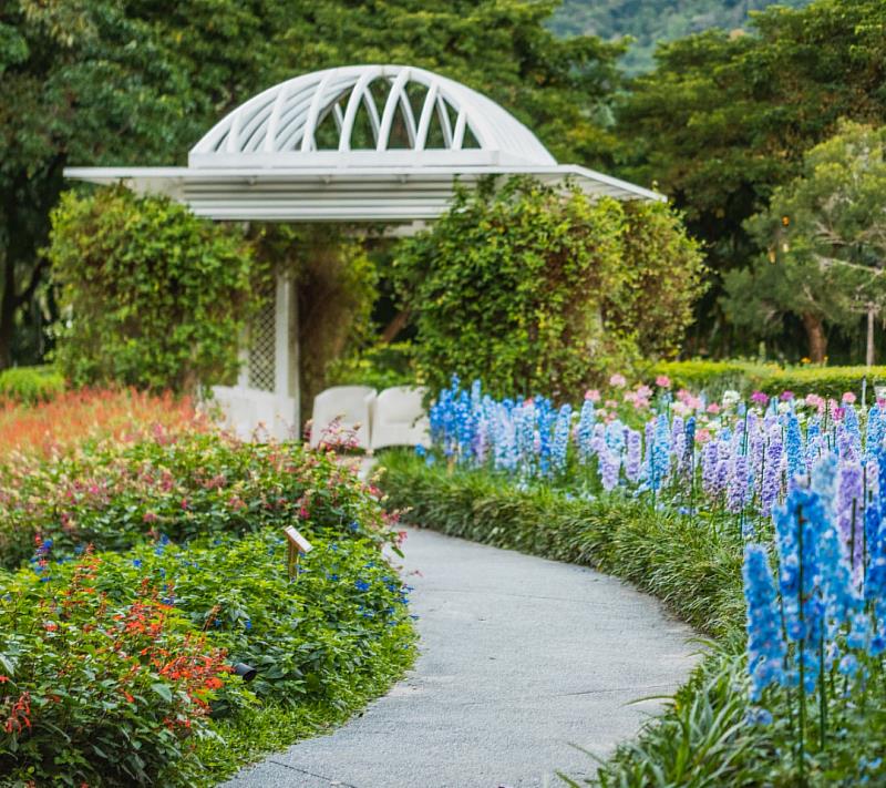 放慢腳步踏入香草迷宮花園，配合呼吸吐納，吸收有機香草純淨的芳香分子與負離子能量。