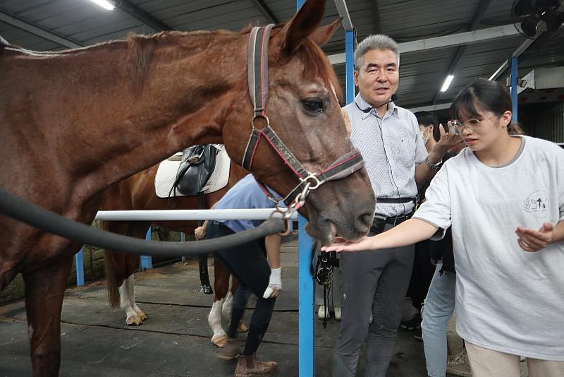 圖四、思思體驗馬匹照顧與騎乘，在過程中萌芽對馬術的興趣，也許下要當陶教練學生的心願。