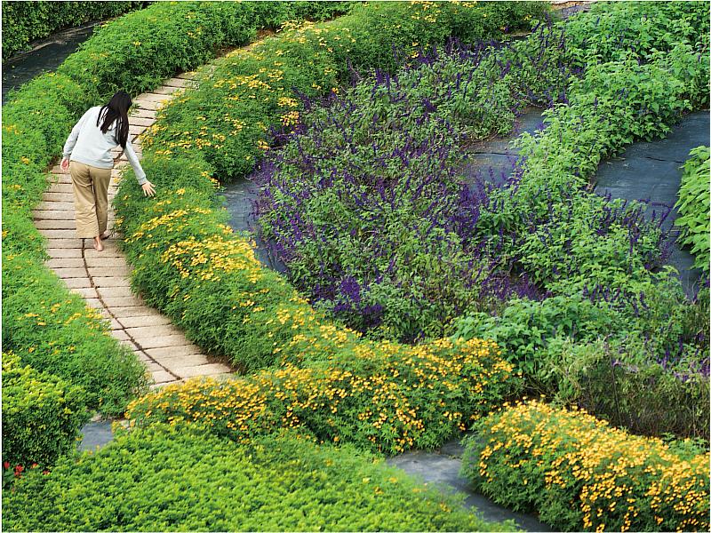 秧悦積極推動「綠色旅遊」，為花東地區唯一榮獲GTS（Green Travel Seal）國際永續綠色旅遊認證的飯店業者，成為國際綠色永續旅遊新標竿。