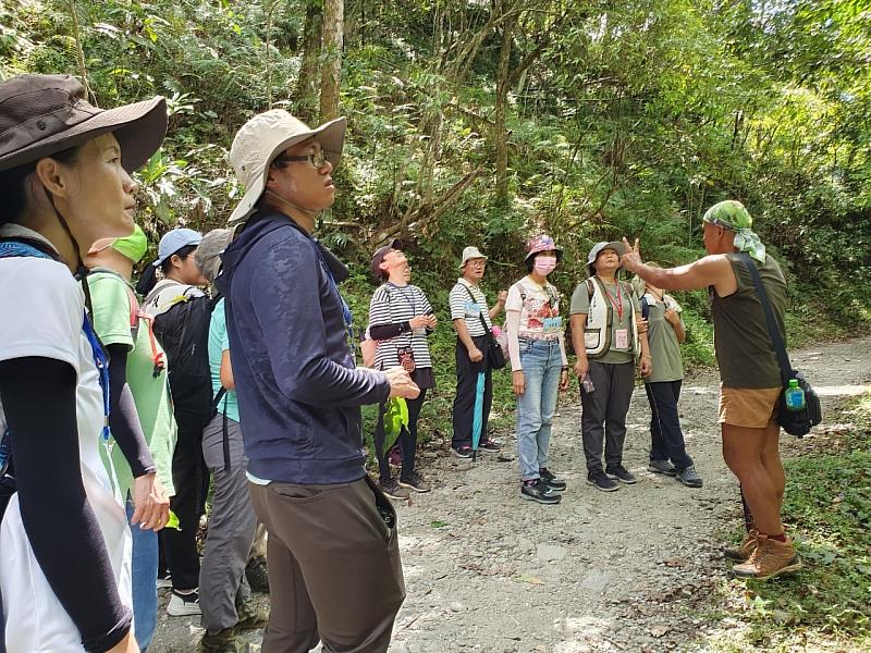 瓦拉米步道由在地潘子星老師帶領導覽介紹山地型態、遺址故事、動植物等的知識與智慧