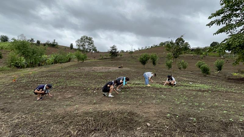 南華大學新南向學海築夢，學生深入泰國農場BCG 職場體驗，至農場進行種植及維護。