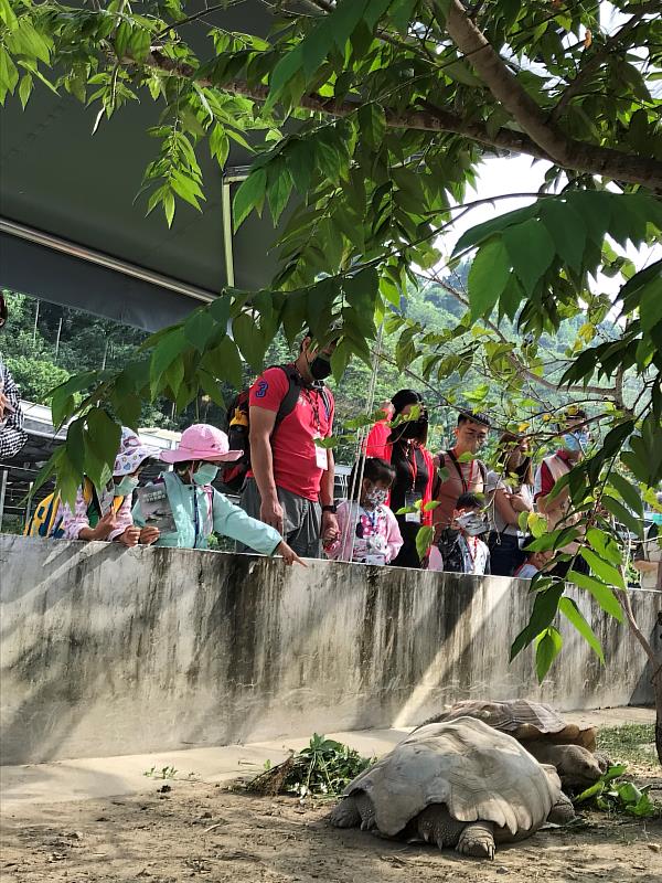 課程帶領學員觀察龜類棲息環境