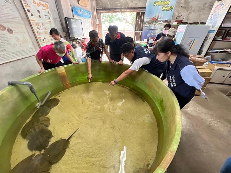 慶七夕 嘉義縣推廣海洋保育觀