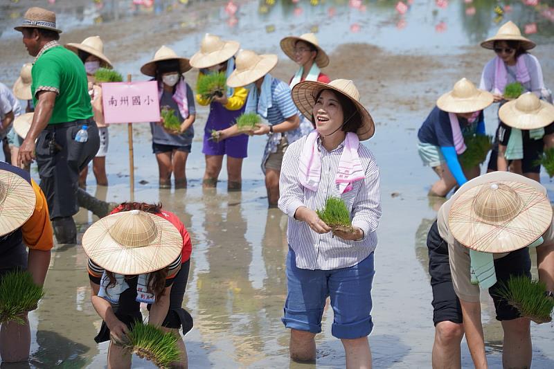 縣長周春米下田種植彩稻充滿感動