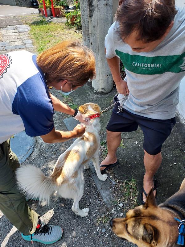 狂犬病預防注射