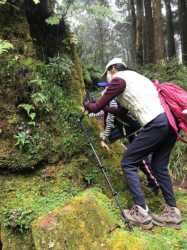 歡迎有興趣的親子一起到阿里山國家森林遊樂區尋找自然的寶藏